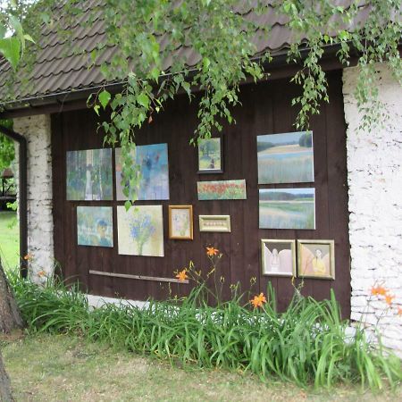 Gospodarstwo Agroturystyczno-Edukacyjne Gratka Celiny  外观 照片