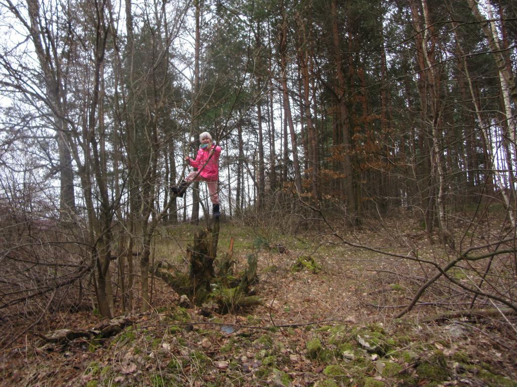 Gospodarstwo Agroturystyczno-Edukacyjne Gratka Celiny  外观 照片