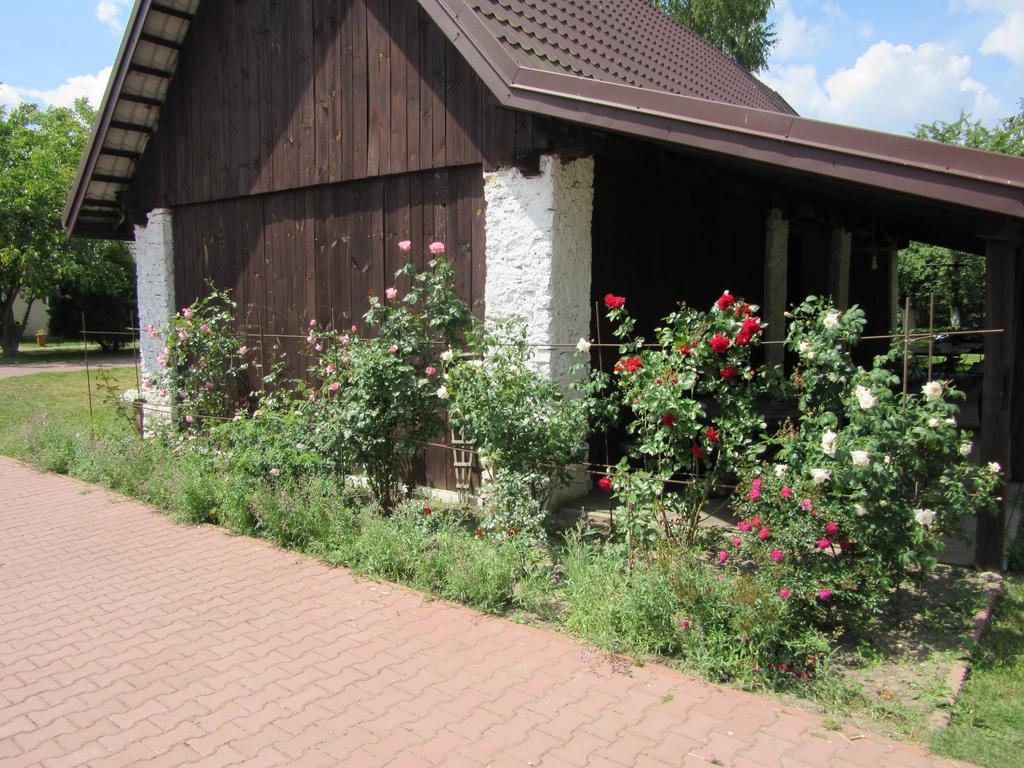 Gospodarstwo Agroturystyczno-Edukacyjne Gratka Celiny  外观 照片