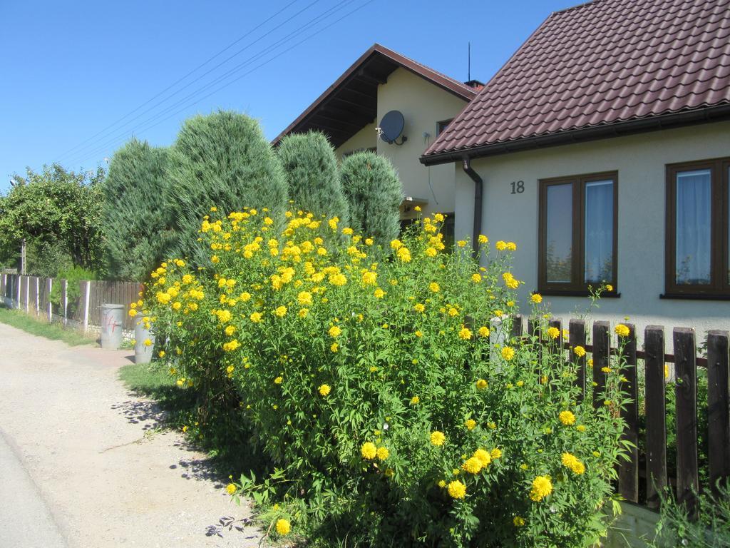 Gospodarstwo Agroturystyczno-Edukacyjne Gratka Celiny  外观 照片