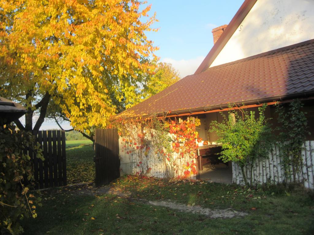 Gospodarstwo Agroturystyczno-Edukacyjne Gratka Celiny  外观 照片