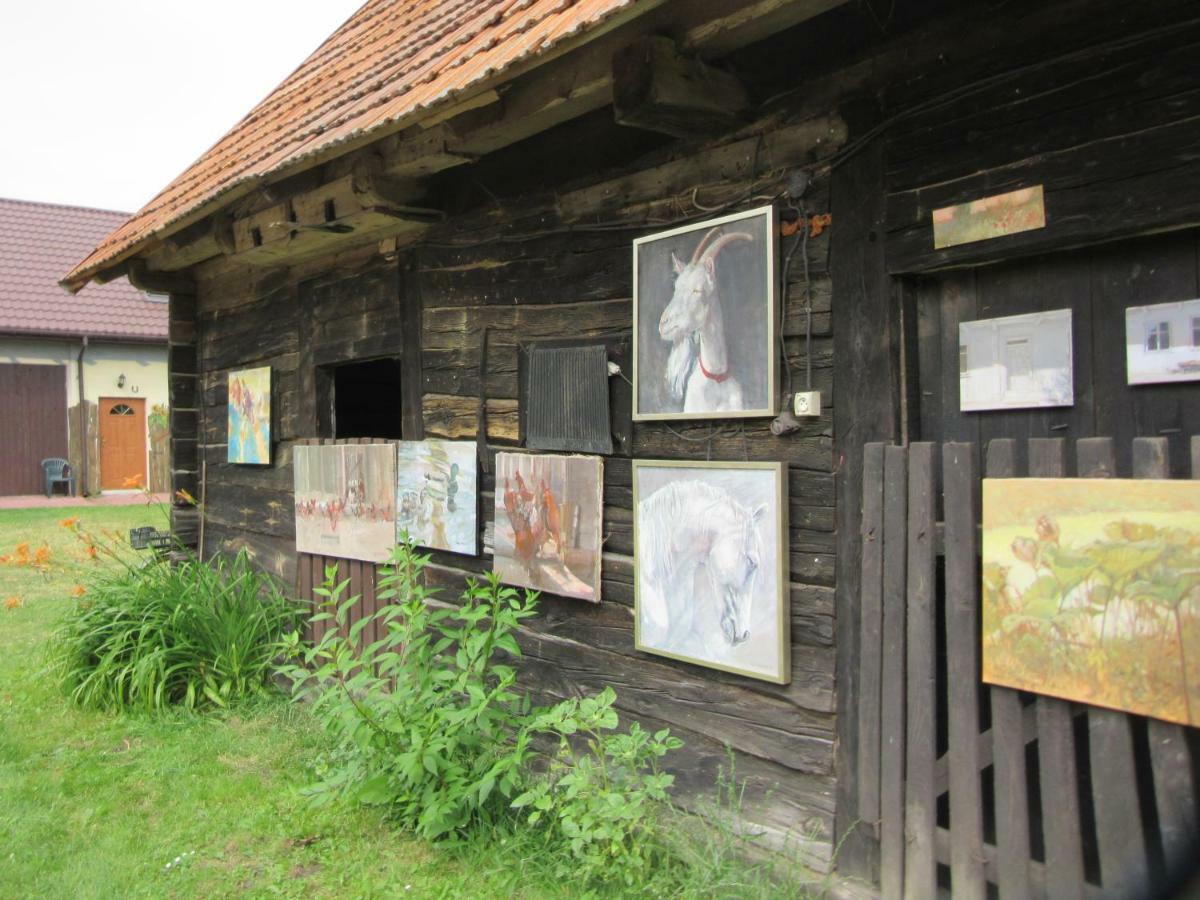 Gospodarstwo Agroturystyczno-Edukacyjne Gratka Celiny  外观 照片
